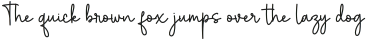 Jakarta Signature otf (400)