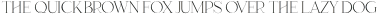 Manne Thin otf (100)