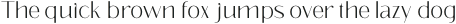Eleganto Sans Thin otf (100)