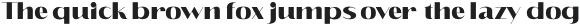 Eleganto Sans Black otf (900)