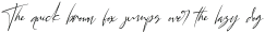 California Street Light Italic otf (300)