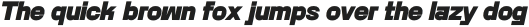 Rotonto Black Italic otf (900)