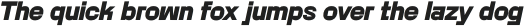 Rotonto Heavy italic otf (800)