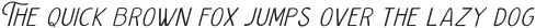The Oldventure Thin Slanted otf (100)