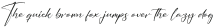 Handmagic Signature otf (400)