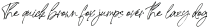 Signature United Italic otf (400)