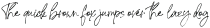 Signature United otf (400)