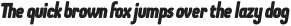 OtsuSans-HeavyItalic otf (800)