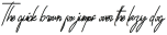 Castila Signature Italic otf (400)
