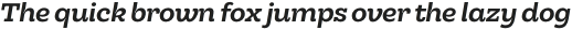 Hernandez Niu Bold Italic otf (700)