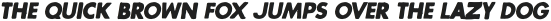 Flexograph Italic otf (400)
