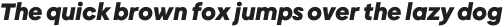 Geliat ExtraBold Italic otf (700)