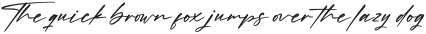 Rockidate Italic otf (400)