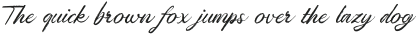 Pianka Brush otf (400)