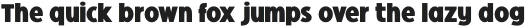 Oculi Magni ExtraBold otf (700)