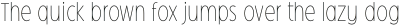 Oculi Magni Thin otf (100)