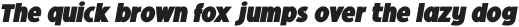 Oculi Magni Black Italic otf (900) Sample