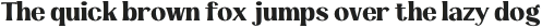Loftus-Regular otf (400)