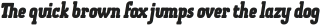 OtsuSlab-HeavyItalic otf (800)