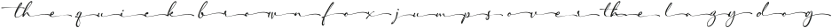 ShanghaiSignatureswashh otf (400)