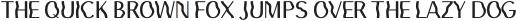 Olga Sans Regular otf (400)