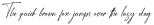 Besthany Medium otf (500)