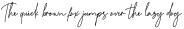 Sansburg Signature otf (400)