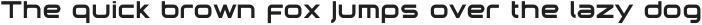 Fauna Pro Light ttf (300)