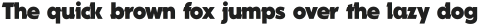 Nesia Sans Black ttf (900)