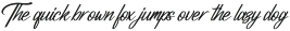 Belgium Victory Italic otf (400)