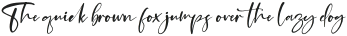 Beterdam Smith Italic otf (400)