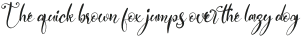 Artistica Italic otf (400)