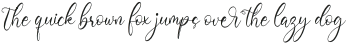 Barbara Derina Italic otf (400)