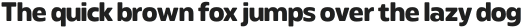Meutas Soft Bold otf (700)