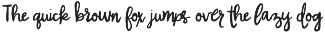 Wild Winter | Extensive Script Font font preview