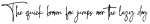 Southampton otf (400)