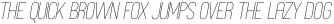 Moford EC Thin Italic otf (100)