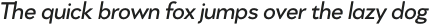Rapor Regular Italic otf (400)