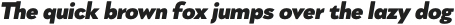 Rapor Black Italic otf (900)