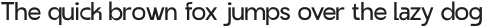 RenialSans-Regular otf (400)