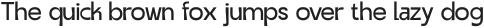 RenialDisplay-Regular otf (400)