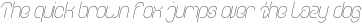 EVERYTHING Italic otf (100)