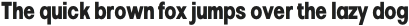 Pelinka Condensed ExtraBold otf (700)