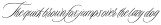 Duende Light otf (300)