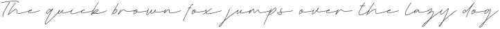 Deluna Signature otf (400)