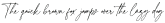 AdornStoryScript Regular otf (400)