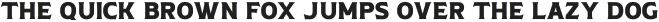 Butchers Daughter SerifRough otf (400)