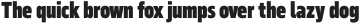 Serca Condensed Black otf (900)