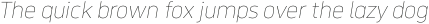 Serca Thin Italic otf (100)