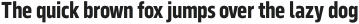 Serca Condensed Bold otf (700)